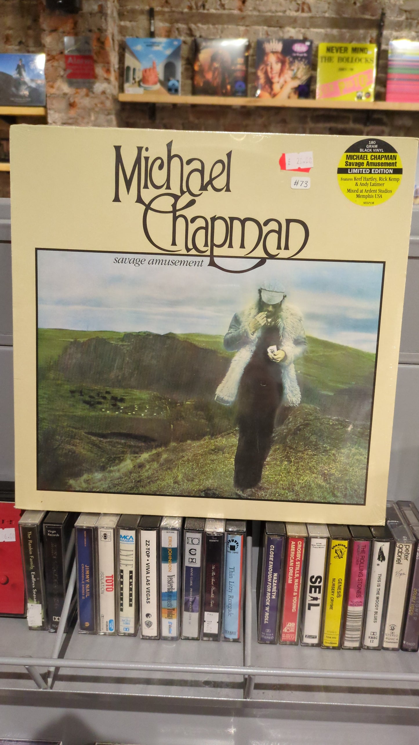 Michael Chapman - Savage Amusement