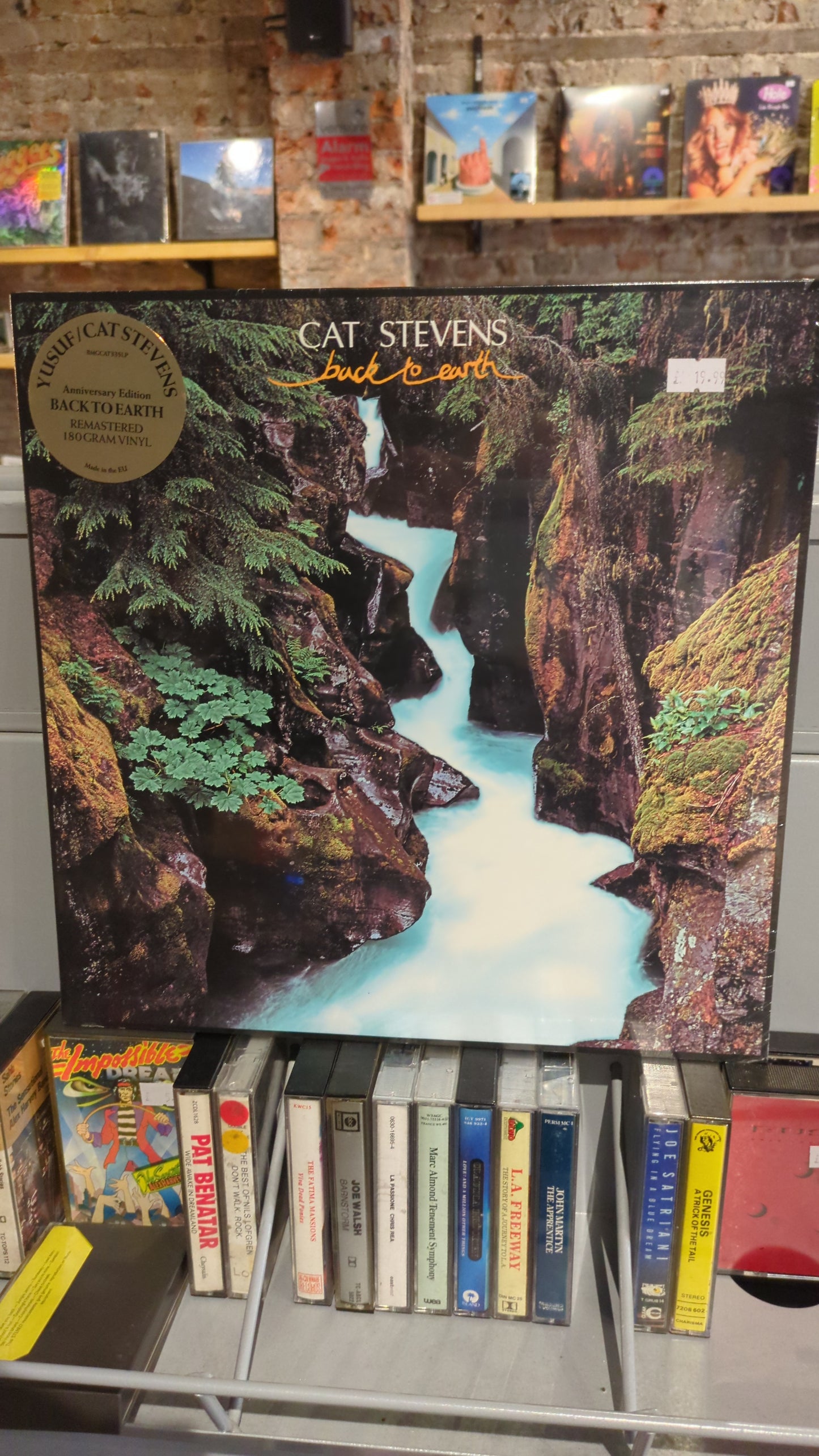 Cat Stevens - Back To Earth