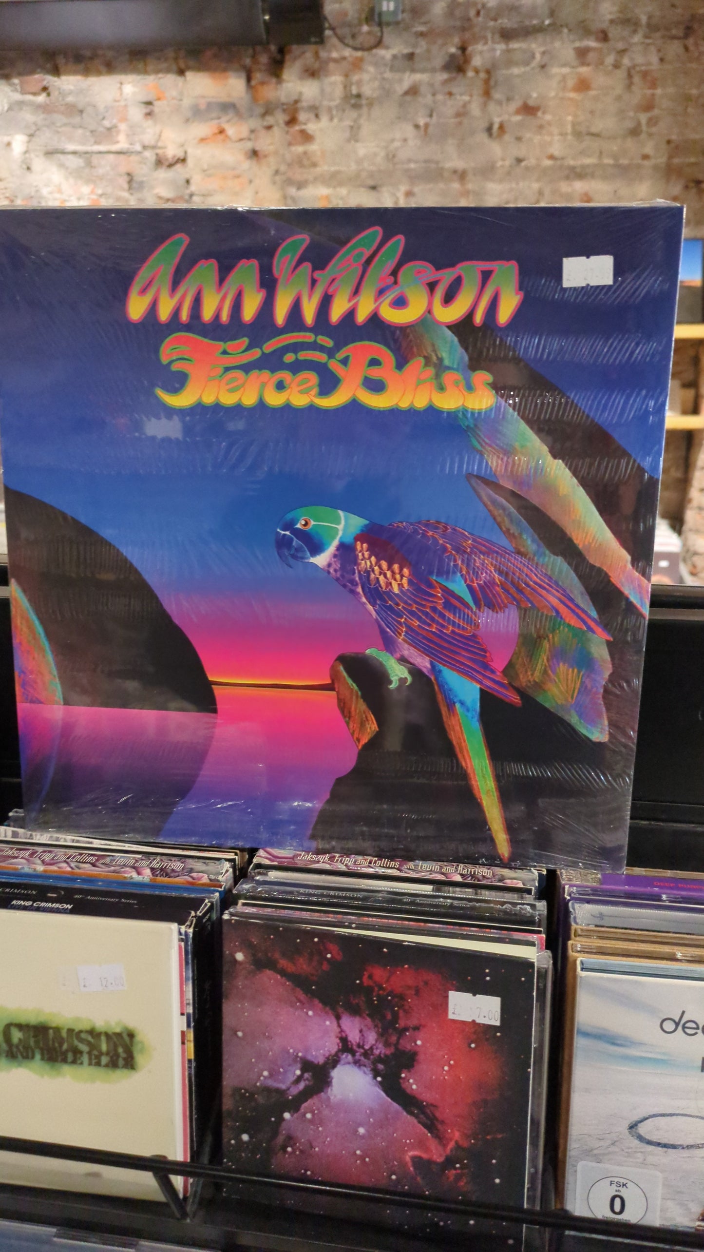 Ann Wilson - Fierce Bliss