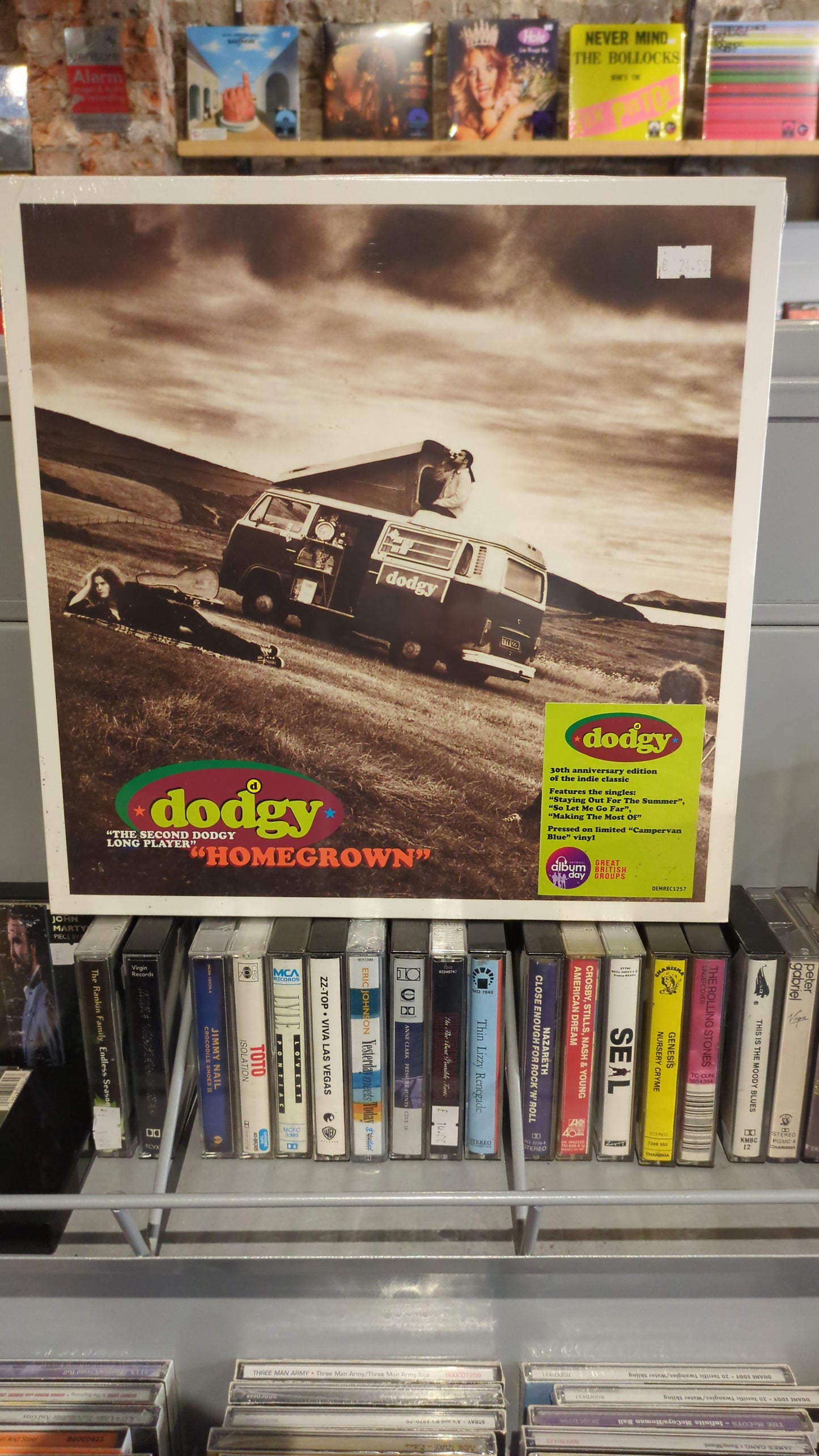 Dodgy - Homegrown