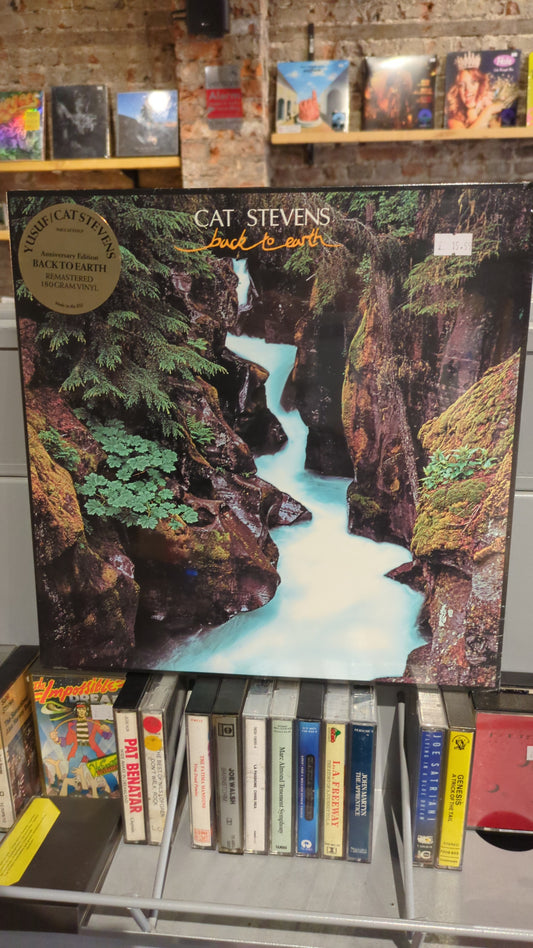 Cat Stevens - Back To Earth